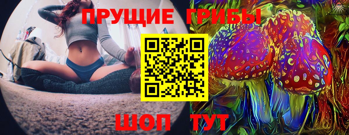 Псилоцибиновые грибы мухоморы  Вход с VPN  Галлюциногенные грибы мухоморы  где купить наркоту  Избербаш 